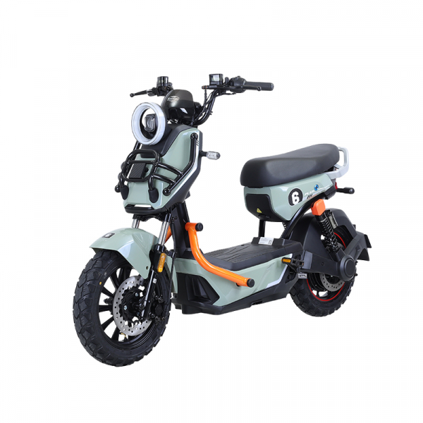 XE ĐIỆN TAILG X51
